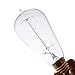 60W Edison Light Bulbs ST58 Filament Vintage Bulb Antique Style Incandescent Clear Glass Light Squirrel Cage Design E26/E27 Medium Base Lamp (4 Pack) for Chandeliers Wall Sconces Pendant Lighting