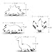 New Cookie Cutter Set - 3 Inch Dinosaur Footprint, Brontosaurs, Spinosaurus & Triceratops Molds for Kids' Birthday Party (4 Piece)