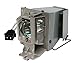 CTLAMP BL-FP190D/SP.73701GC01 Professional Replacement Projector Lamp with Housing Compatible with OPTOMA HD141X EH200ST GT1080 HD26 S316 X316 W316 DX346 BR323 BR326 DH1009 DH1008 DS340E DS345