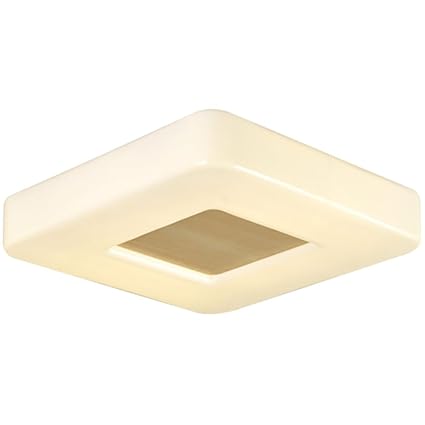 Amazon Com Tenda Fei Led Flush Mount Ceiling Light Led Panel