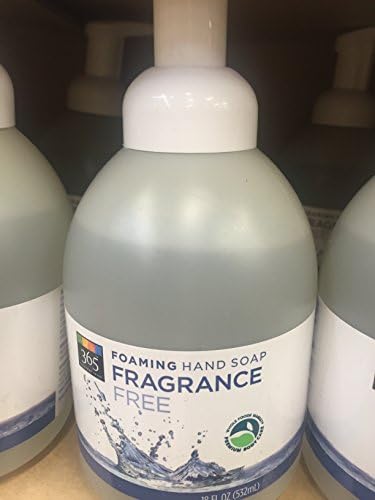 365 Everyday Value Foaming Hand Soap - Fragrance Free 18 fl oz
