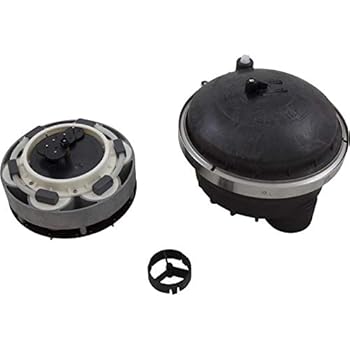Amazon.com : Paramount Base O-Ring : Swimming Pool Pump