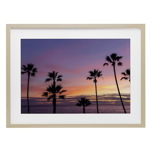 'Sunsets & Scattered Palm Trees'| Framed Print Under Glass