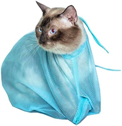 Mumoo Bear Blue Adjustable 