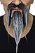 Mustaches Self Adhesive Fake Mustache and Beard, Novelty, Shaolin False Facial Hair, Costume Accessory for Adults Salt and Pepper Color