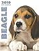 Beagle 2019 Dog Calendar by Over the Wall Dogs