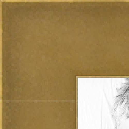 ArtToFrames 13x19 / 13 x 19 Picture Frame Brushed Sun with Black Sides .. 1.25 wide (WOM82257) ArtToFrames 13x19 / 13 x 19 Picture Frame Brushed Sun with Black Sides .. 1.25 wide (WOM82257)