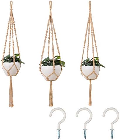 blushing philodendron vs pink princess Philodendron Pink Princess – The Plant Boys main image 0