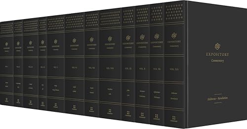 The New Interpreter's® Bible Commentary Ten Volume Set