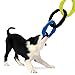 Nerf Dog 3-Ring Football Tug Dog Toy, Lightweight, Durable and Water Resistant, 9 Inches, For Medium/Large Breeds, Single Unit, Blue/Green