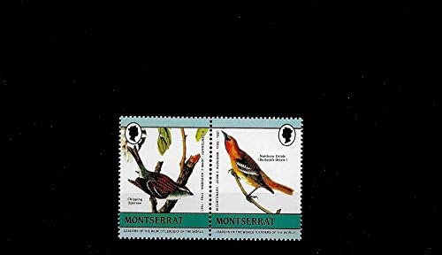Collectable Stamps - Leaders of the World Error No Value Bird Stamps MNH Pair of Error Stamps / Montserrat / Later Printing of 1985 Issue