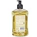A LA MAISON French Liquid Hand Soap, White Tea - Natural Hand Wash Made with Essential Oils - Biodegradable, Plant-Based, Vegan, Cruelty-Free, Alcohol & Paraben Free (16.9 oz, 2 Pack)