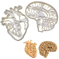 SET of 2 cookie cutters (Anatomical Heart & Anatomical Brain cookie cutters), 2 pcs, Ideal for Medical themed party