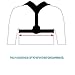 Oxyland Back Posture Corrector Clavicle Support Brace Adjustable Strap Improve Bad Posture,Shoulder Alignment,Upper Back Pain Relief for Men and Women (Back Posture)