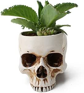 Calavera Calaveras Decorativas Escultura Macetas De Flores Con Cabeza