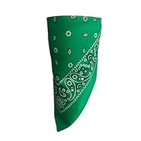 Green Paisley VELCRO®Brand Adjustable Close Bandanna Mask Face Cover Reversible Dust, Bug Mask, Sun and Exhaust Protection, Motorcycle ATV Rider Hand Made By My Skull Store