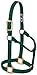 Weaver Leather Original Non-Adjustable Nylon Horse Halter, Large, Hunter Green