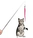 Cat Toys Wand Interactive Feather Teaser Stick and Exerciser Attachments Retractable Fishing Rod with 6 Refills Feathers Set for Cats Kitten (Worm)