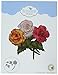 Elizabeth Craft Designs 1374 Metal Die Garden Notes Tuberous Begonia