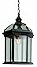 Trans Globe Lighting 4183 RT Wentworth Collection One Light Outdoor Hanging Lantern I in a Rust Finish I Traditional Style Light Fixture I