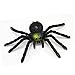 10PCS Halloween Spider Decorations, Large Spider Plastic Spider Fake Spider Realistic Halloween Prank Props for Halloween Home Indoor Party Decorations Supplies