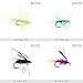Croch 60pcs Fly Fishing Dry Flies Wet Flies Assortment Kit with Waterproof Fly Box for Trout Fishing