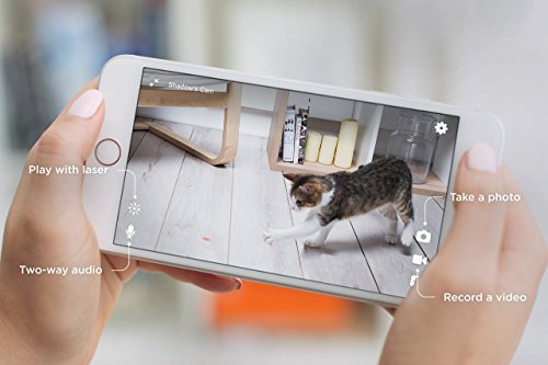 Petcube Play Pet Camera with Interactive Laser Toy. Monitor Your Pet Remotely with HD 1080p Video, Two-Way Audio, Night Vision, Sound and Motion Alerts. Compatible with Alexa (Certified Refurbished)