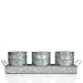 Hosley Set of 3 Galvanized Planter with Tray 5 Inch High. Ideal for Party Wedding Country Picnic Caddy Serve Ware Floral Pots Votive Candle Gardens O4