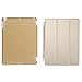 BESDATA Ultra Thin Magnetic Smart Cover [Auto Wake/Sleep Function]& Translucent Back Case for 2013 iPad Air + Screen Protector + Cleaning Cloth + Stylus, Gold