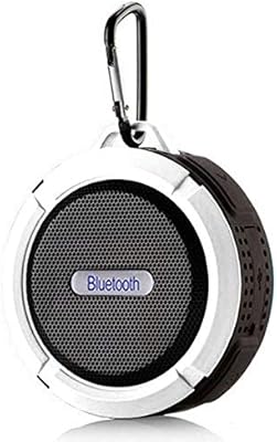 surround sound shower system