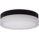 Nuvo Lighting 62/569 Pi - 25W CCT Selectable LED Flush Mount-3.13 Inches Tall and 11 Inches Wide, Finish Color: Black