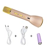 HTRise 08 Gold Portable Karaoke Player Wireless Bluetooth Speaker Microphone KTV, and Singing Record