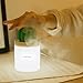 WEY&FLY Cactus Humidifier With Night Light , Mini Cool Mist Humidifier 280ml USB Portable Humidifier with Auto Shut-off, for Bedroom, Baby Room, Home, Yoga, Office, Spa, Coffee Bar, Travel Desktop