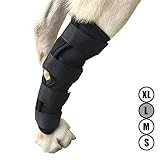 Dog ACL Brace for Torn acl Dog Hock Brace for Dog Ankle,Hock Joint Leg Brace for Dogs Relieve Pain from Operation/Arthritis,Comfortable Soft Canine Leg Joint Wrap Bandage Protects Wounds/Injury(L)