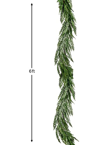 41XgttfSFpL.jpg