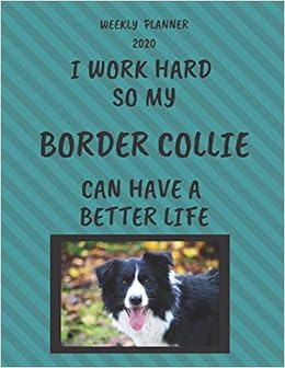 border collie gifts amazon