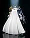 TAMASHII NATIONS Bandai D-Arts Omegamon Digimon Action Figure