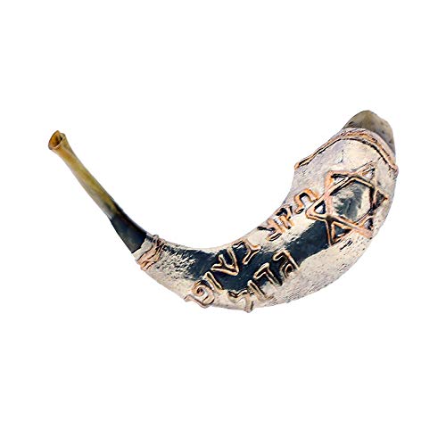Top 10 Shofars From Israel of 2020 No Place Called Home