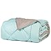 Bedsure Designs Reversible Down Alternative Comforter with Corner Ties, Twin - Mint/Tan