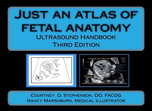 An Atlas of Histology: 9780387949543: Medicine & Health Science