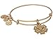 Alex and Ani Women's Medical Professional Bangle Bracelet, Rafaelian Gold