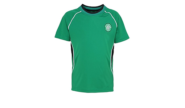 celtic childrens kit