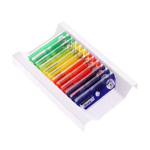 Hukai 12 Pcs Prepared Microscope Slides Set Specimen For Student Basic Biology Education - Thumbnail 6