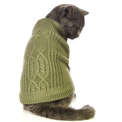 Jnancun Stretchy Cat Sweater