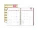 Blue Sky Day Designer for 2018 Weekly & Monthly Planner with Extra Notes Pages, Twin-Wire Binding, 5.8' x 8.6'