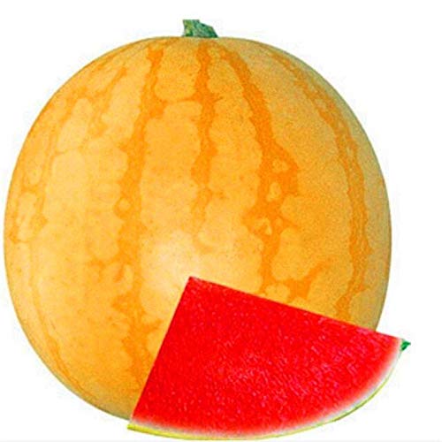 AGROBITS Watern Japonesa Súper Swe Agua n Frutas Cultivar un ...