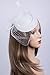 Cizoe Fascinators Hats 20s 50s Hat Pillbox Hat Cocktail Tea Party Headwear with Veil for Girls and Women(B-White)