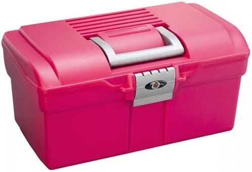 ProTack Small Grooming Box (One Size) (Raspberry/Silver)