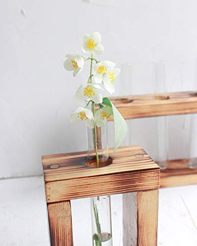 Test Tube Flower Bud Vase Set of 2 by WoodenStuff Decorative Rustic Wood Stand into a Solid Base Sconce Perfect for Centerpieces and Displays Flowers Plants Glass Holder Window Decor