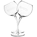Tipsy Wine Glass Set Of 2 Cute Tilted Glasses With Funny Saying| Drink Responsibly Don’t Spill It |Joke Novelty Gag Gift For All Types of Women|Wife Mom Daughter Coworkers Bff